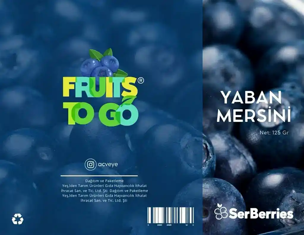 Ankara Kurumsal Kimlik Tasarımı Referansı - Fruits to go