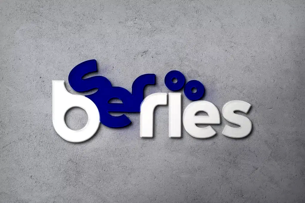 Ankara Kurumsal Kimlik Tasarımı Referansı - Ser Berries